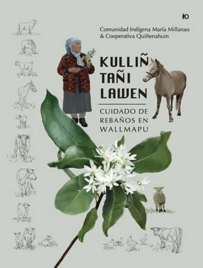 Kulliñ Tañi Lawen. Cuidado de rebaños en Walmapu