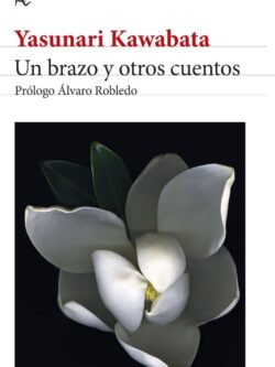 Un brazo y otros cuentos. Edición 2024