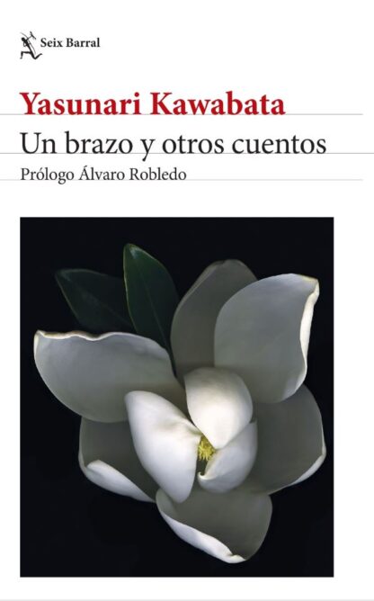 Un brazo y otros cuentos. Edición 2024
